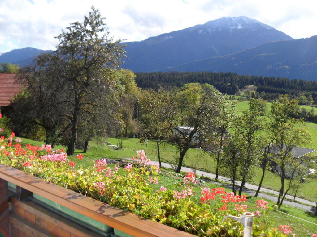 Ferienhaus Warmuth Appartement Sankt Stefan an der Gail Buitenkant foto