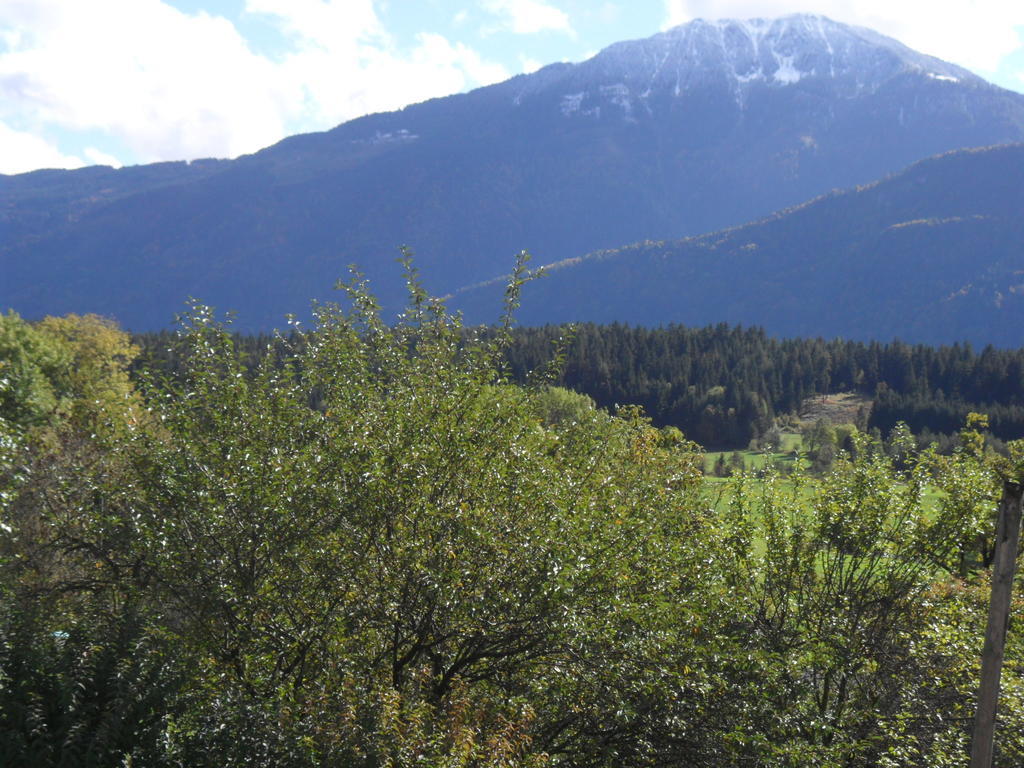 Ferienhaus Warmuth Appartement Sankt Stefan an der Gail Buitenkant foto