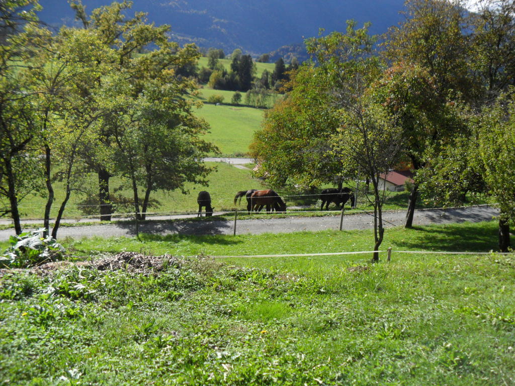 Ferienhaus Warmuth Appartement Sankt Stefan an der Gail Buitenkant foto