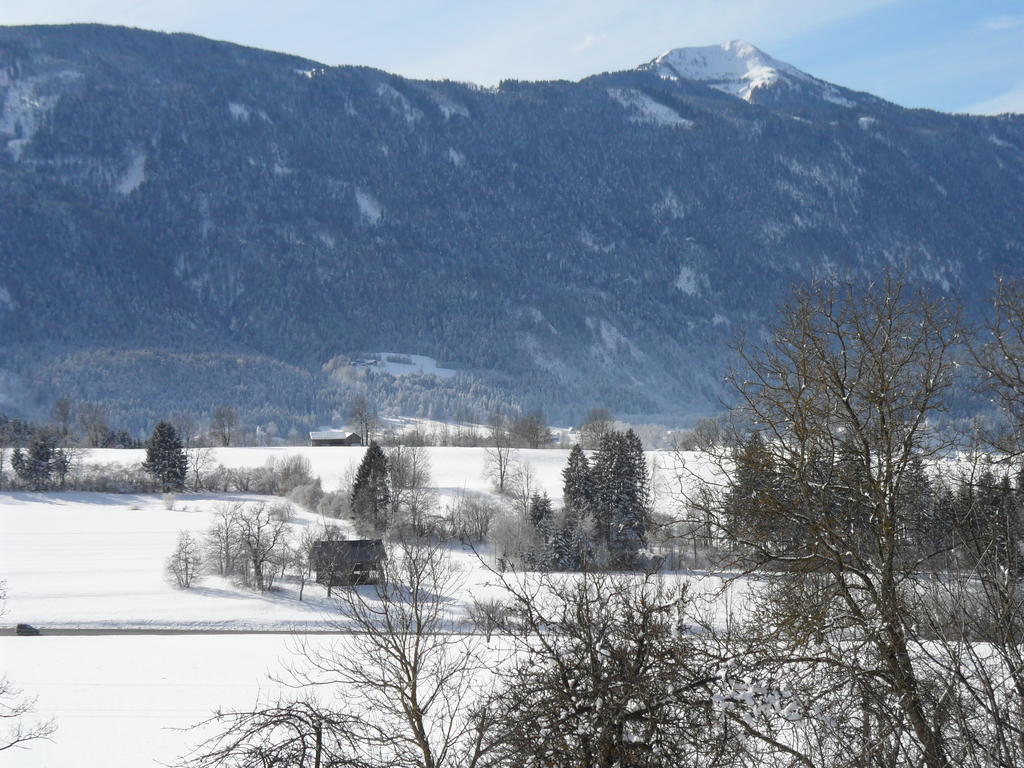 Ferienhaus Warmuth Appartement Sankt Stefan an der Gail Buitenkant foto