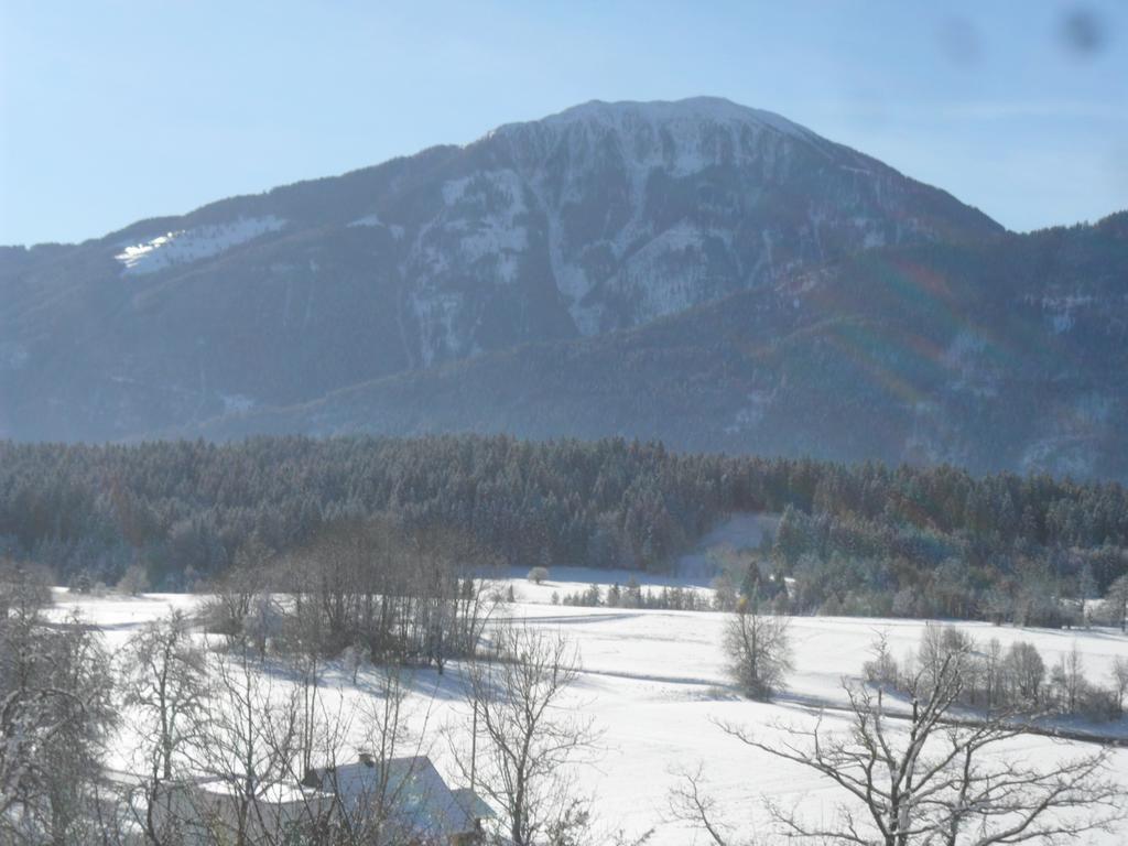 Ferienhaus Warmuth Appartement Sankt Stefan an der Gail Buitenkant foto